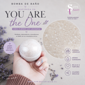 Bomba de baño Inspirado en You are the one the bath and body works